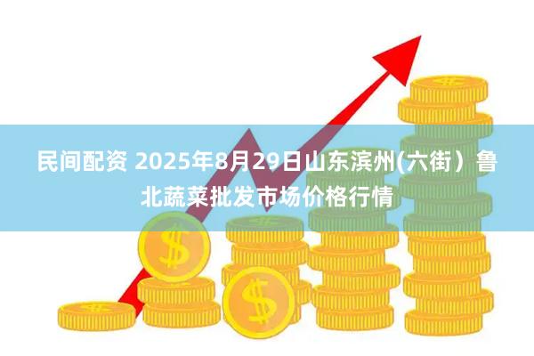 民间配资 2025年8月29日山东滨州(六街）鲁北蔬菜批发市场价格行情